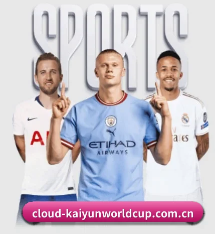 五大服务分区,信息按项目分类