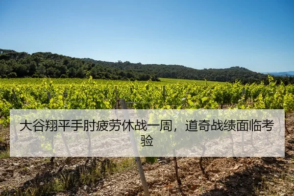 大谷翔平手肘疲劳休战一周，道奇战绩面临考验